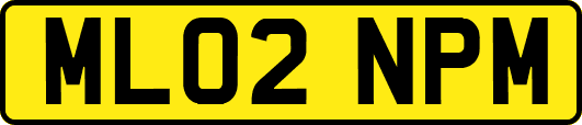 ML02NPM