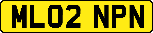 ML02NPN