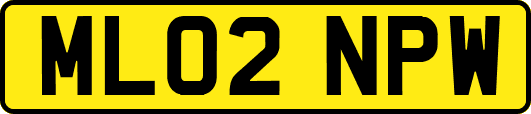ML02NPW
