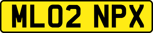 ML02NPX