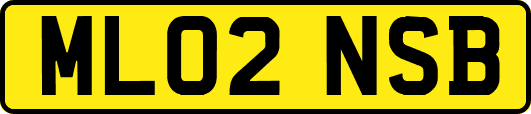 ML02NSB
