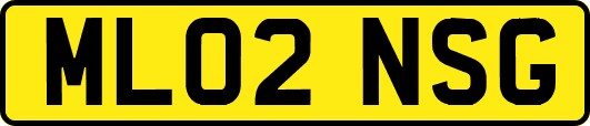 ML02NSG
