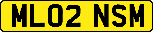 ML02NSM