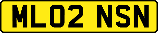 ML02NSN