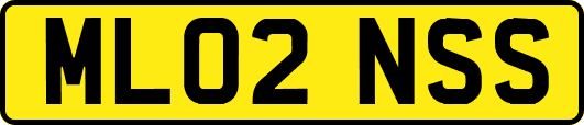 ML02NSS