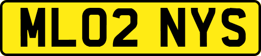 ML02NYS
