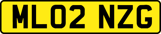 ML02NZG