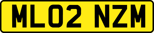 ML02NZM