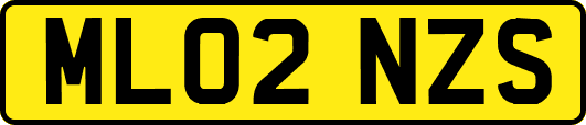 ML02NZS
