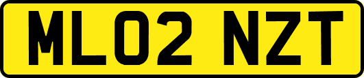 ML02NZT