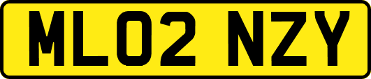 ML02NZY