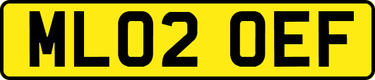 ML02OEF