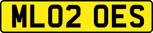 ML02OES