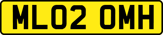 ML02OMH