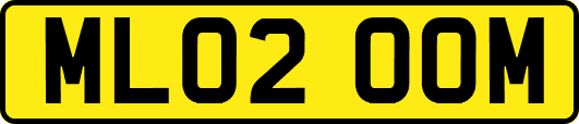 ML02OOM