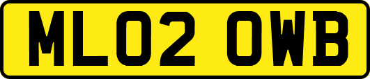 ML02OWB
