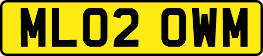ML02OWM