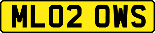 ML02OWS