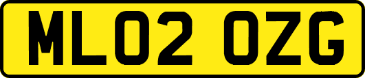 ML02OZG