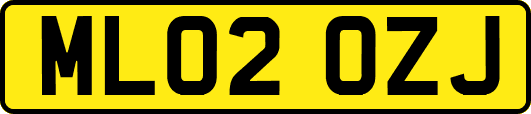 ML02OZJ