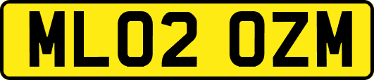 ML02OZM