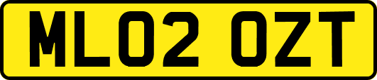 ML02OZT