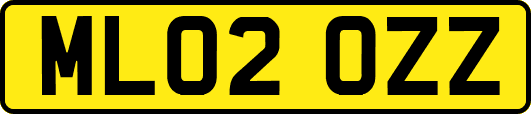 ML02OZZ