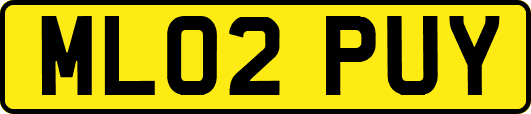 ML02PUY