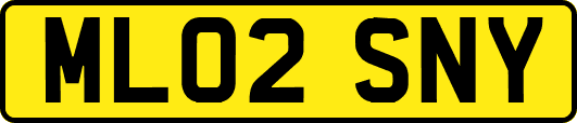 ML02SNY