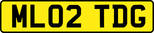 ML02TDG