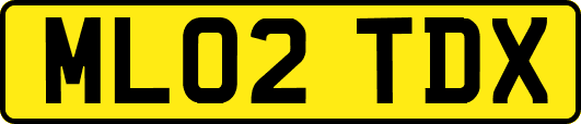 ML02TDX