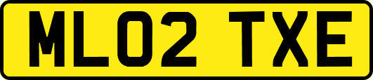 ML02TXE