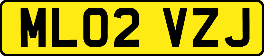 ML02VZJ