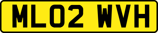 ML02WVH
