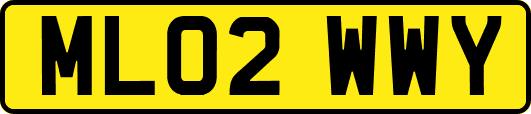 ML02WWY