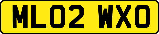 ML02WXO