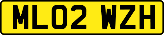 ML02WZH