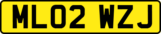 ML02WZJ