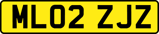 ML02ZJZ
