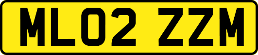 ML02ZZM