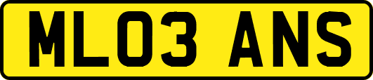 ML03ANS