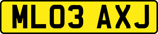 ML03AXJ