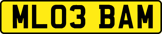 ML03BAM