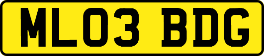 ML03BDG