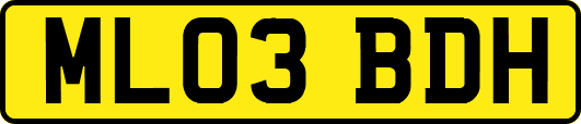 ML03BDH