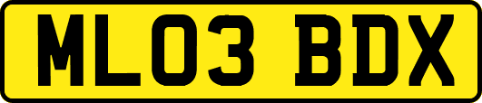 ML03BDX