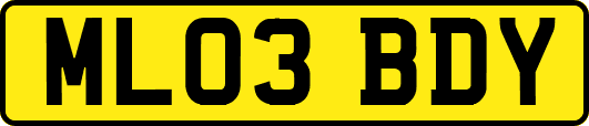 ML03BDY