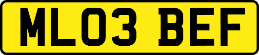 ML03BEF