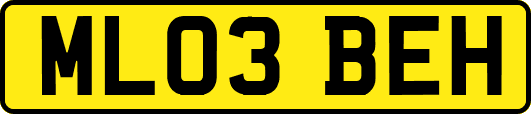 ML03BEH