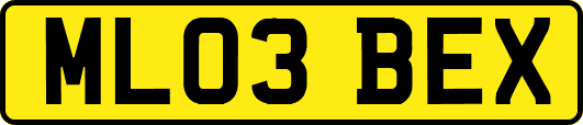 ML03BEX